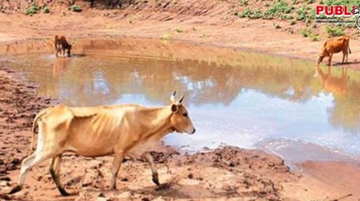 Siete departamentos son afectados por la sequía y escasez de agua en