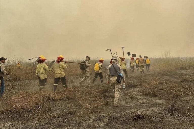 LLUVIAS AYUDAN A SOFOCAR CASI EL 50% DE LOS INCENDIOS, SEGÚN DEFENSA CIVIL LLUVIAS AYUDAN A SOFOCAR CASI EL 50% DE LOS INCENDIOS, SEGÚN DEFENSA CIVIL