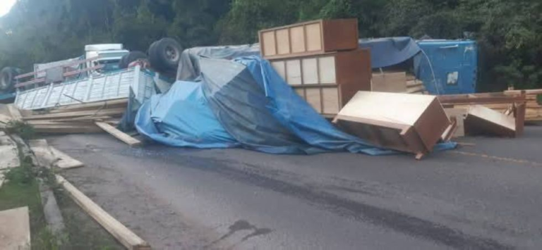 Camión volcó en la ruta Entre Ríos – Palos Blancos – Tarija Camión volcó en la ruta Entre Ríos – Palos Blancos – Tarija