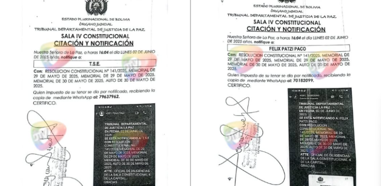 Tribunal notifica a TSE, Patzi, Andrónico y Tribunal de Honor del MTS con Resolución Constitucional 141/2025