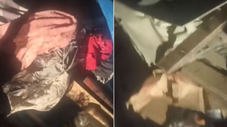 Fatal accidente en Santa Cruz: Al menos cinco fallecidos por choque en la ruta Bioceánica Fatal accidente en Santa Cruz: Al menos cinco fallecidos por choque en la ruta Bioceánica