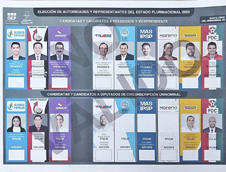 TSE acepta retiro de NGP y aprueba nueva papeleta TSE acepta retiro de NGP y aprueba nueva papeleta
