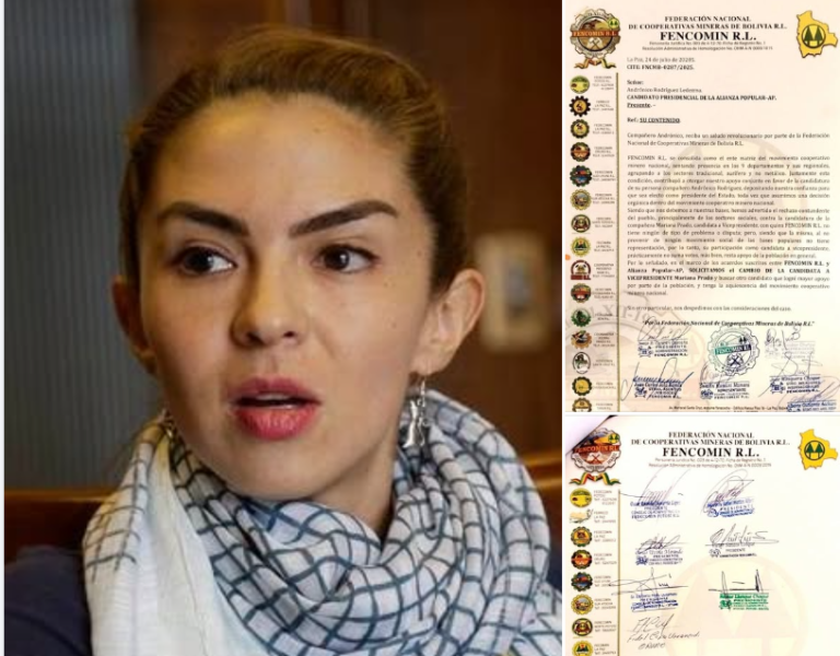 Fencomin pide a Andrónico cambiar candidatura de Mariana Prado: «No suma votos» Fencomin pide a Andrónico cambiar candidatura de Mariana Prado: «No suma votos»