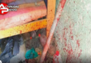 Anciano fue brutalmente asesinado, su rostro está totalmente desfigurado