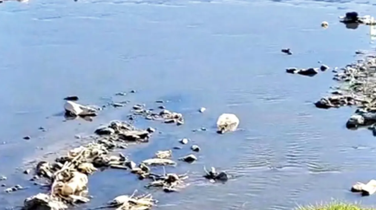 Alertan que el Titicaca se convierte en el ‘basurero más grande y alto del mundo’ Alertan que el Titicaca se convierte en el ‘basurero más grande y alto del mundo’