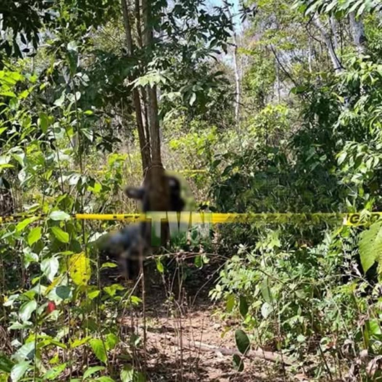 ¡Macabro! Hallan a un hombre y una mujer muertos, atados a árboles y con bolsas en la cabeza ¡Macabro! Hallan a un hombre y una mujer muertos, atados a árboles y con bolsas en la cabeza