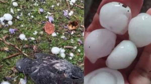 Granizo causa estragos en Tarija y Chuquisaca