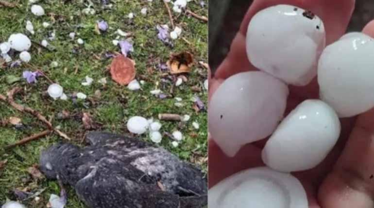 Granizo causa estragos en Tarija y Chuquisaca Granizo causa estragos en Tarija y Chuquisaca