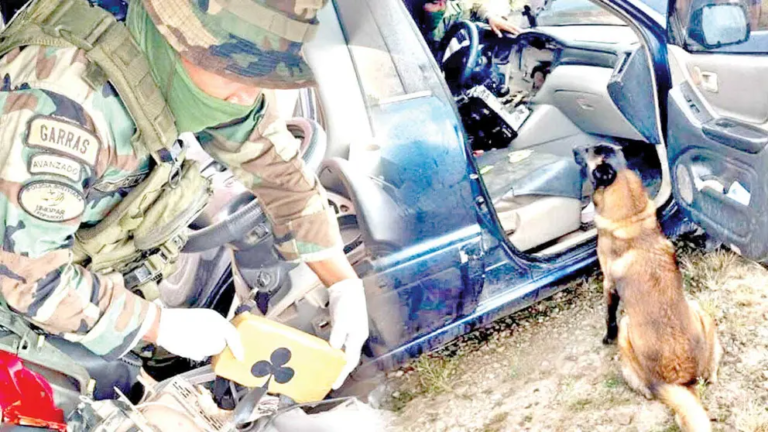 Isak, can antidrogas, descubre droga en tablero de un auto; hay 2 detenidos Isak, can antidrogas, descubre droga en tablero de un auto; hay 2 detenidos