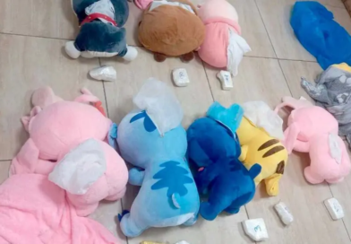 Boliviana fue detenida en Argentina; transportaba droga oculta en peluches