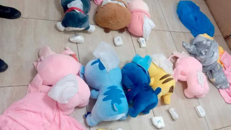 Boliviana fue detenida en Argentina; transportaba droga oculta en peluches Boliviana fue detenida en Argentina; transportaba droga oculta en peluches