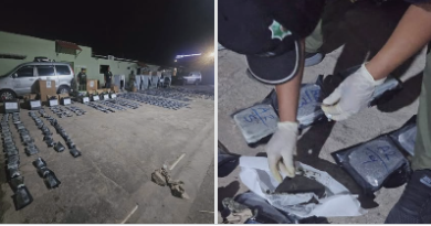 Viru Viru: incautan más de 356 kilos de marihuana ocultos en encomiendas internacionales
