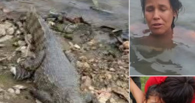 SUCEDIÓ EN SANTA CRUZ: MUJER INTENTÓ QUITARCE LA VIDA AL INGRESAR A LA LAGUNA DE COCODRILOS TRAS LA MUERTE DE SU HIJO