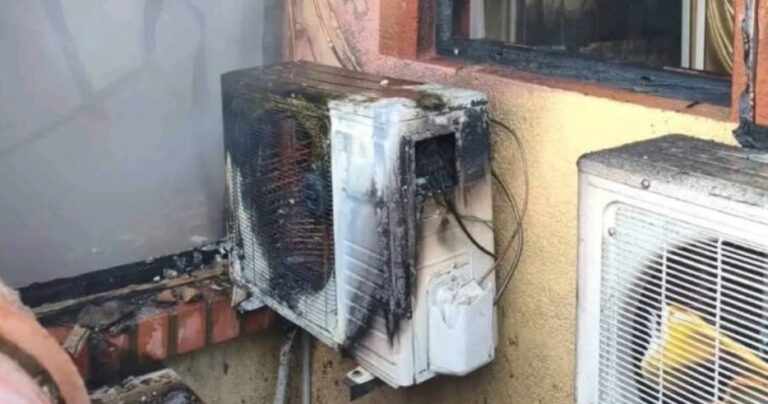 INCENDIO EN BARRIO FÁTIMA DEJA UNA MASCOTA SIN VIDA INCENDIO EN BARRIO FÁTIMA DEJA UNA MASCOTA SIN VIDA