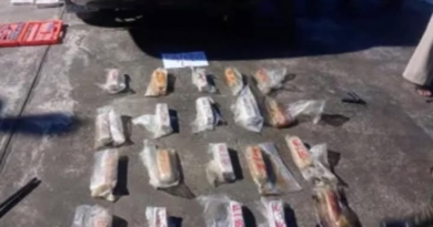 CINCO APREHENDIDOS POR TRASLADAR DROGA CAMUFLADA HACIA TARIJA