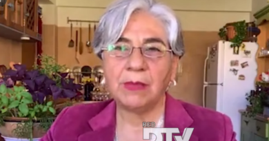 PERIODISTA DENUNCIA SUPUESTO PLAN PARA GENERAR CONFLICTIVIDAD Y FORZAR CAÍDA DEL GOBIERNO