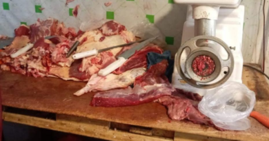 DENUNCIAN VENTA DE CARNE DE BURRO EN MERCADOS DE EL ALTO Y ALCALDÍA INVESTIGA