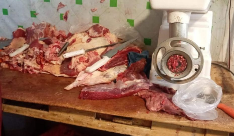 DENUNCIAN VENTA DE CARNE DE BURRO EN MERCADOS DE EL ALTO Y ALCALDÍA INVESTIGA