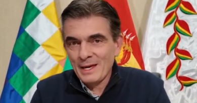 PRESIDENTE PROMULGA LEY DE ALIVIO TRIBUTARIO PARA BENEFICIAR A CONTRIBUYENTES