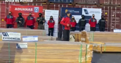 Chile incauta más de 100 toneladas de droga impregnada en madera proveniente de Bolivia